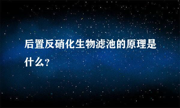 后置反硝化生物滤池的原理是什么？