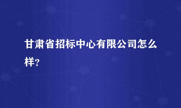 甘肃省招标中心有限公司怎么样？