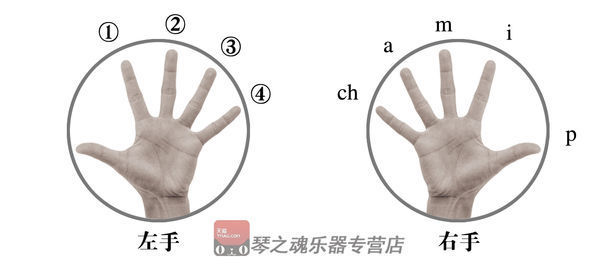 如何弹吉他教练父翻学