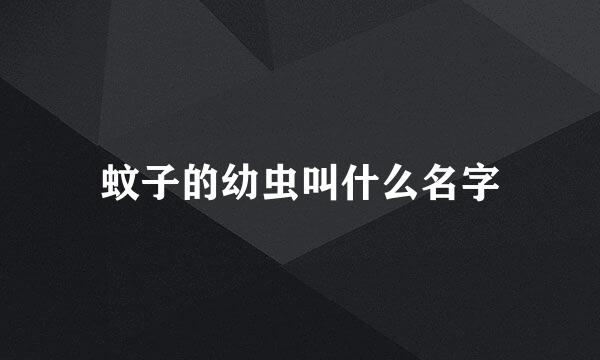 蚊子的幼虫叫什么名字