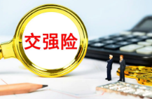 车辆交强险保什么内容