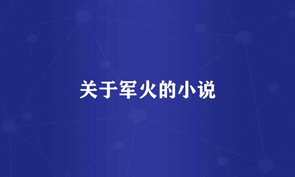 关于军火的小说