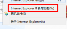 如何看我的IE浏览器是什么版本的呀