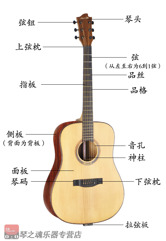 如何弹吉他教练父翻学