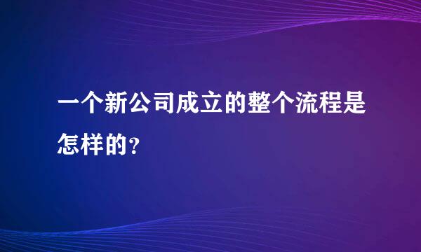 一个新公司成立的整个流程是怎样的？