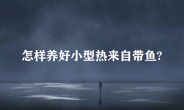 怎样养好小型热来自带鱼?