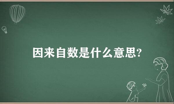 因来自数是什么意思?