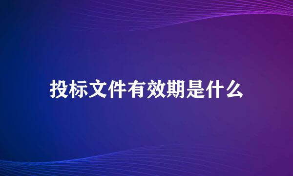 投标文件有效期是什么