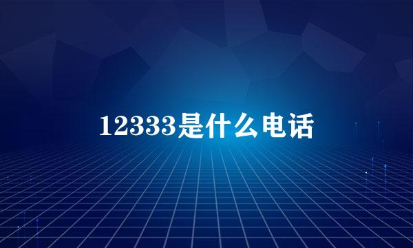 12333是什么电话