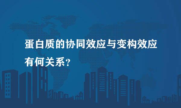 蛋白质的协同效应与变构效应有何关系？