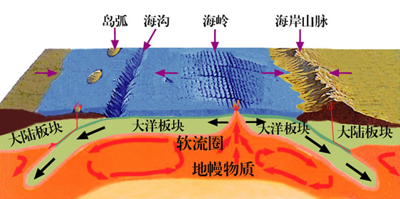 地壳运动与板块运动有什么区别