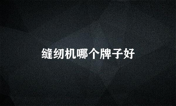 缝纫机哪个牌子好