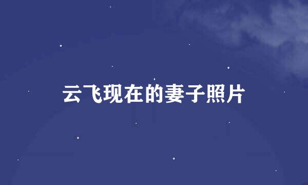 云飞现在的妻子照片