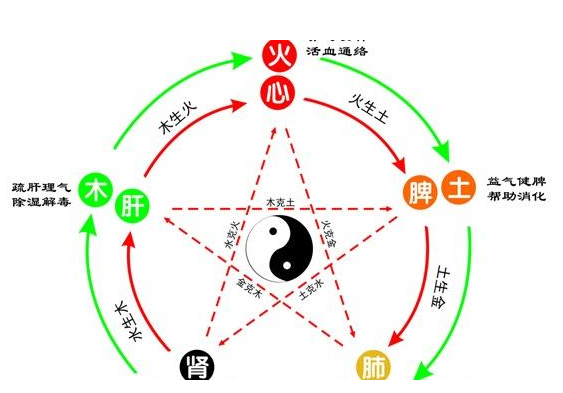 根据出生年月日怎么查五行