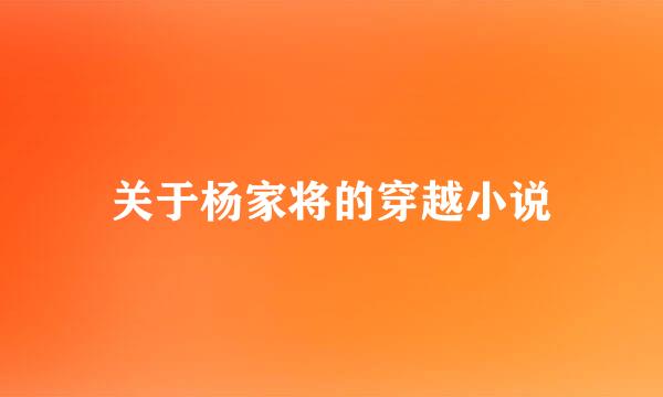 关于杨家将的穿越小说