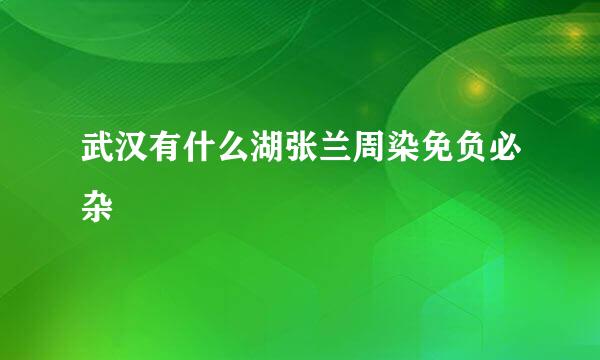 武汉有什么湖张兰周染免负必杂