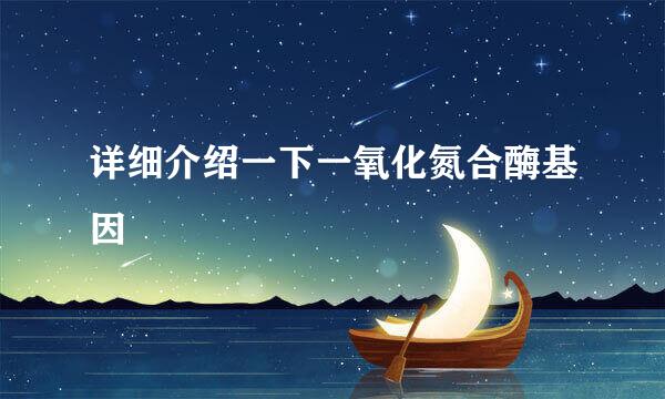 详细介绍一下一氧化氮合酶基因