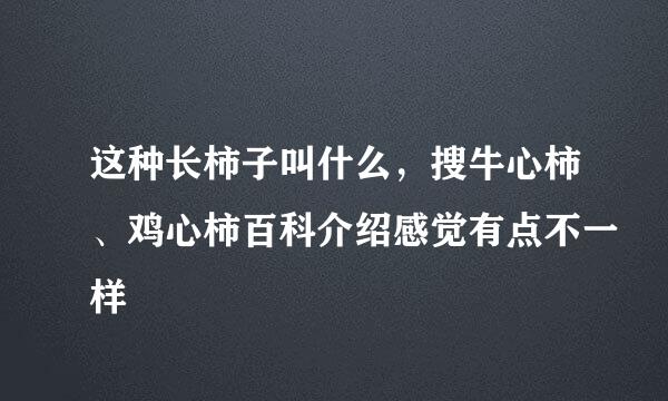 这种长柿子叫什么，搜牛心柿、鸡心柿百科介绍感觉有点不一样