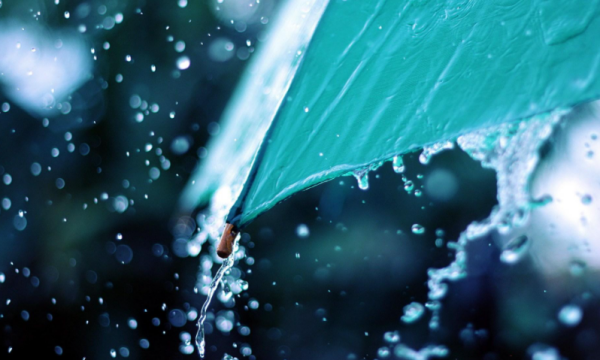 描写下雨的优美句子