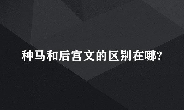 种马和后宫文的区别在哪?