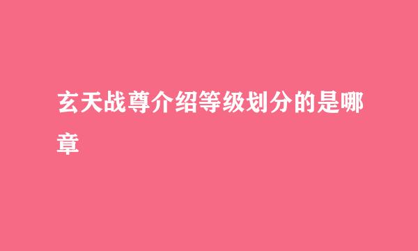 玄天战尊介绍等级划分的是哪章