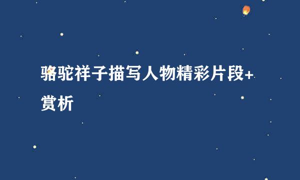 骆驼祥子描写人物精彩片段+赏析