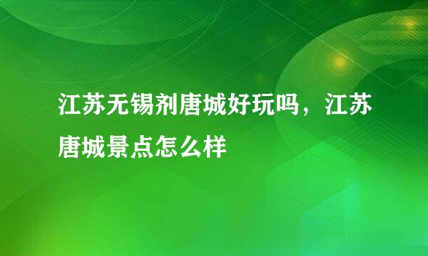 江苏无锡剂唐城好玩吗，江苏唐城景点怎么样