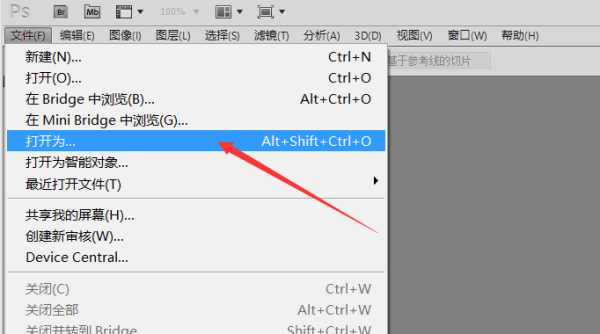 photoshop中怎么装camera raw