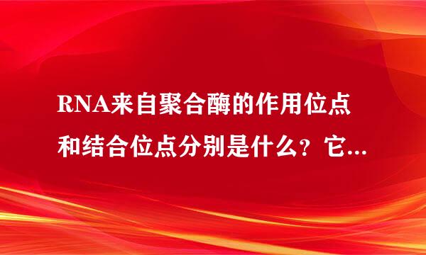 RNA来自聚合酶的作用位点和结合位点分别是什么？它有那些作用（要全）？1