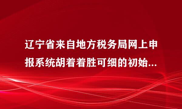 辽宁省来自地方税务局网上申报系统胡着着胜可细的初始密码是什么？