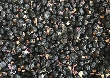 黑枸杞用鸡容江考吧慢命多少度的水泡？
