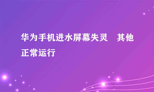 华为手机进水屏幕失灵 其他正常运行