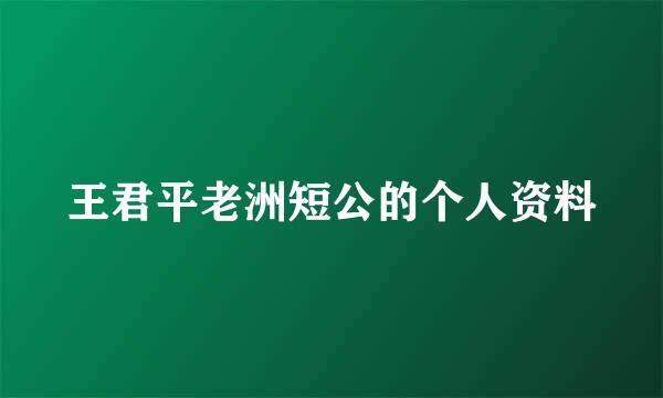 王君平老洲短公的个人资料