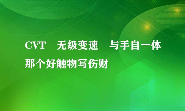 CVT 无级变速 与手自一体那个好触物写伤财