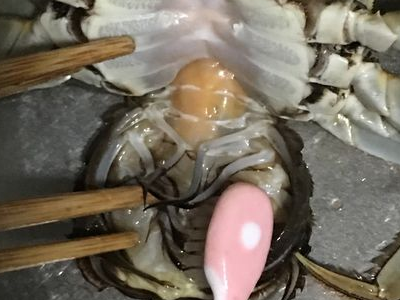 绑好的螃蟹怎么清洗图解