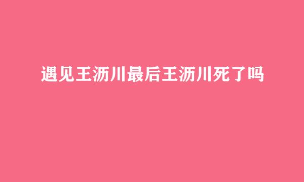 遇见王沥川最后王沥川死了吗