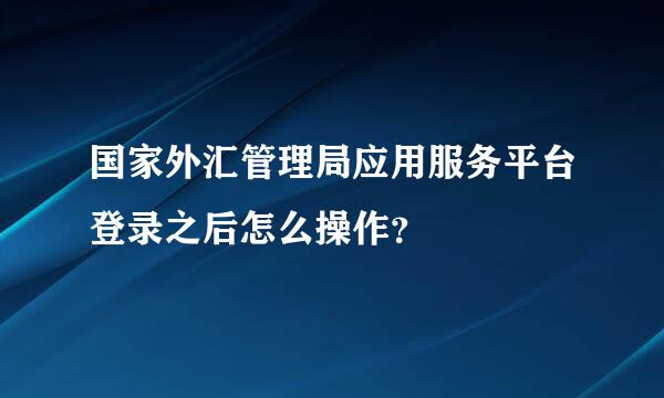 国家外汇管理局应用服务平台登录之后怎么操作？