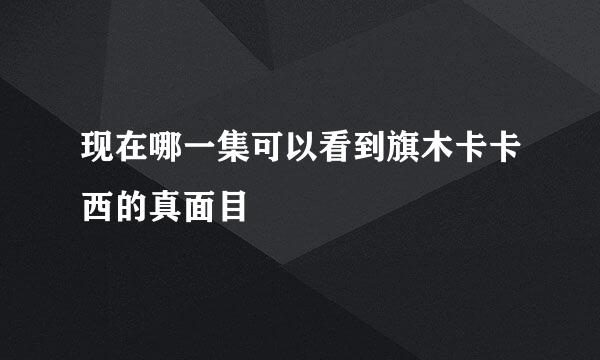 现在哪一集可以看到旗木卡卡西的真面目