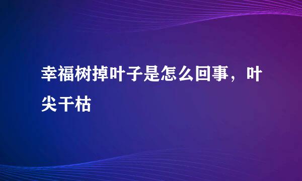 幸福树掉叶子是怎么回事，叶尖干枯