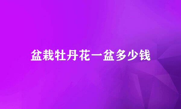 盆栽牡丹花一盆多少钱