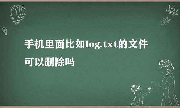 手机里面比如log.txt的文件可以删除吗