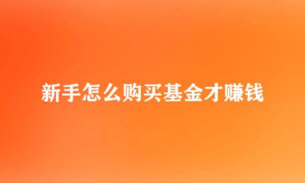 新手怎么购买基金才赚钱