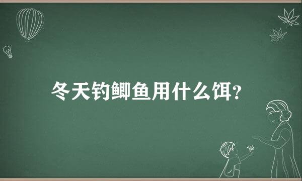 冬天钓鲫鱼用什么饵？