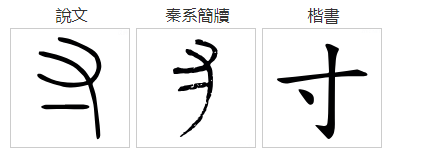 寸来自字组词有哪些