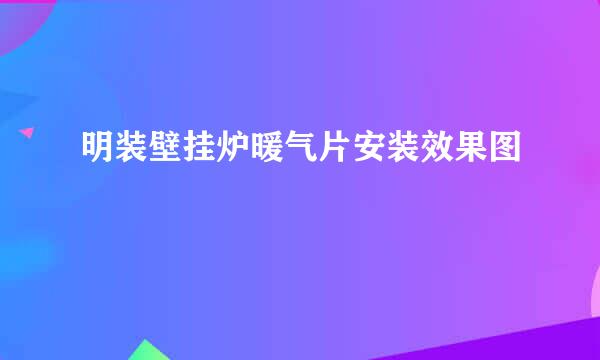 明装壁挂炉暖气片安装效果图