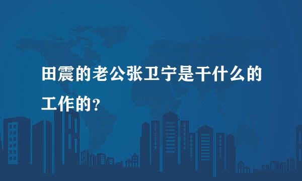 田震的老公张卫宁是干什么的工作的？