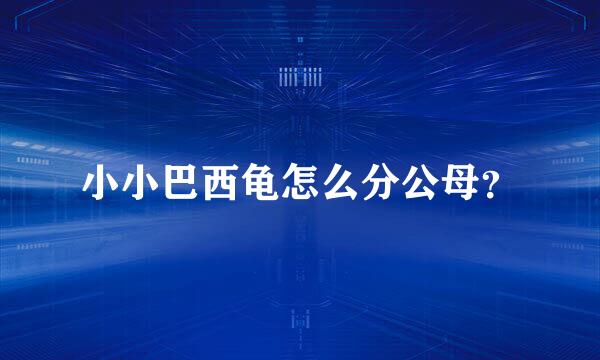 小小巴西龟怎么分公母？