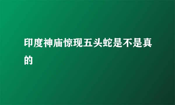 印度神庙惊现五头蛇是不是真的