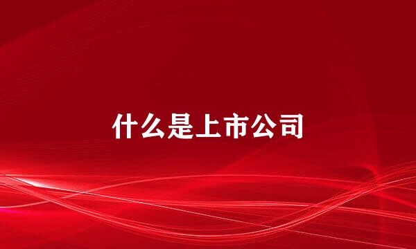 什么是上市公司