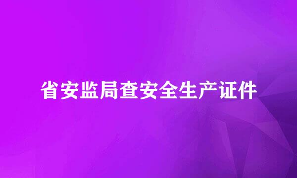 省安监局查安全生产证件
